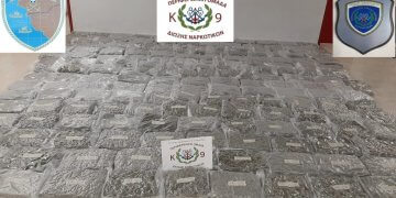 Εντοπισμός και κατάσχεση 209kg ναρκωτικής ουσίας (skunk) στην Ηγουμενίτσα (ΒΙΝΤΕΟ)